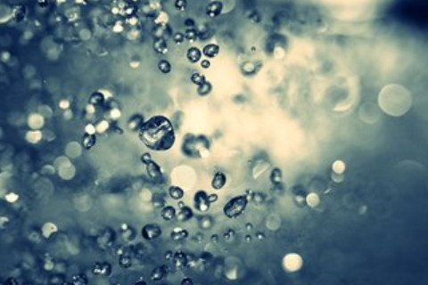 大林木命之命理解析