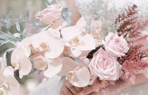 太可惜 一結婚就把重心全放家里面的四大星座 太可惜 一結婚就把重心全放家里面的四大星座