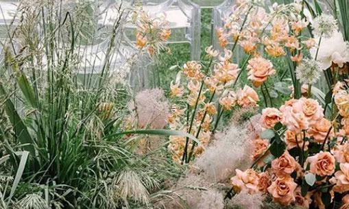 藥石罔顧 直男癌深入骨髓的星座男 藥石罔顧 直男癌深入骨髓的星座男