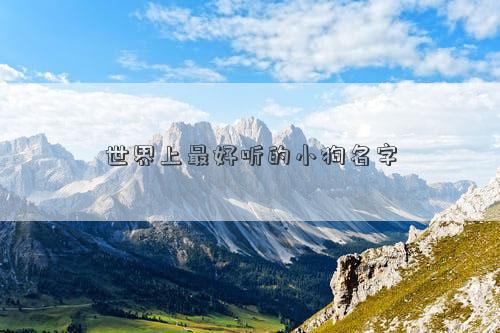 世界上最好聽的小狗名字 世界上最好聽的小狗名字