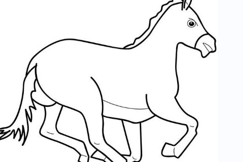 泉中水命的男人的命運