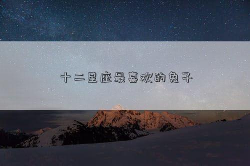 十二星座最喜歡的兔子 十二星座最喜歡的兔子