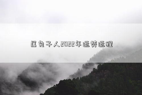 屬兔子人2022年運勢運程