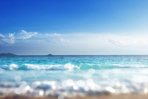 海中金命最忌什么