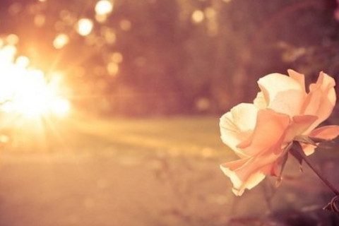 掃把眉的男人對待感情