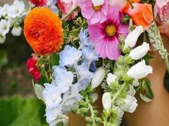 2014年12星座的幸運數字