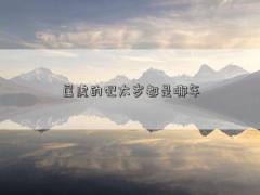 屬虎的犯太歲都是哪年