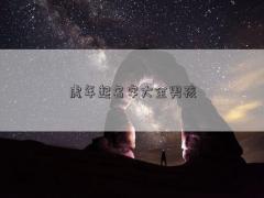 虎年起名字大全男孩