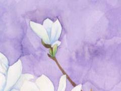 取店名大全 最新版免費農(nóng)資店名