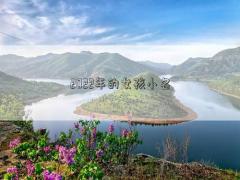 2022年的女孩小名