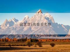 虎寶寶6月份什么命