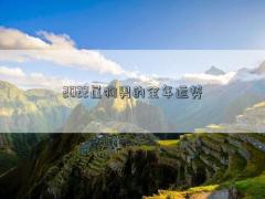 2022屬狗男的全年運(yùn)勢(shì)