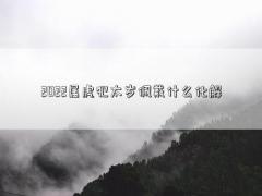 2022屬虎犯太歲佩戴什么化解