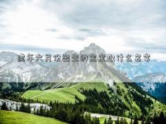 虎年六月份出生的寶寶取什么名字