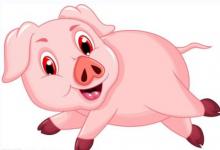 如何完全讀懂居家風水