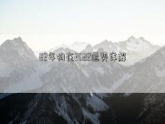 82年狗在2022運勢詳解