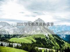 2022年女性屬龍的運勢