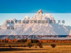 這些星座你看不到稚嫩的影子 只有沉穩