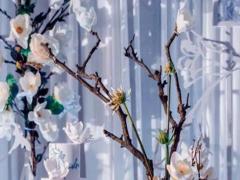 拒絕物質主義 以真心換真心的四大星座