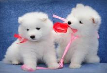 溫柔到爆的女孩名字疊名