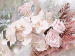 太可惜 一結婚就把重心全放家里面的四大星座