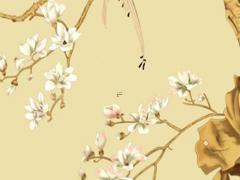 2022年屬狗的人運(yùn)氣運(yùn)勢(shì)好不好各方面運(yùn)氣怎么樣