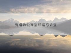 好聽的公司團隊名字大全