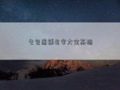 女包店鋪名字大全高檔