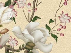 什么生肖最旺虎的財運