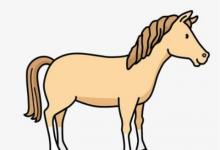 夢到苦瓜藤上結(jié)滿了苦瓜