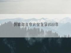 男孩起名字大全免費2022年