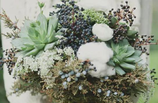 623是什么星座 623是什么星座