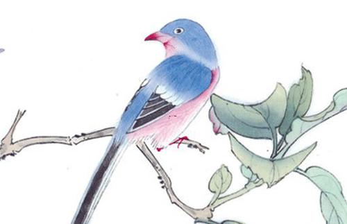 屬鼠人2022婚姻運勢