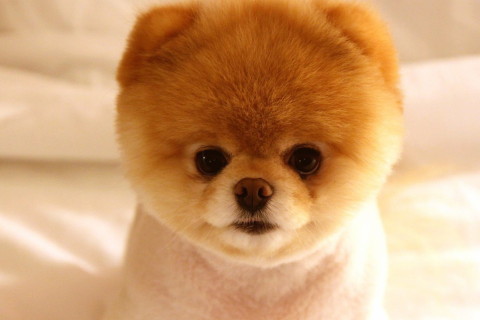 夢見把自己打扮成新娘是什么征兆