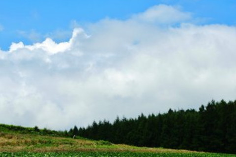 八字帶天乙貴人