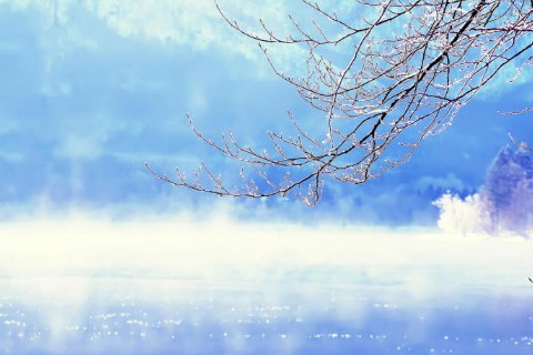 不同的人夢(mèng)見蛇來報(bào)恩是什么意思