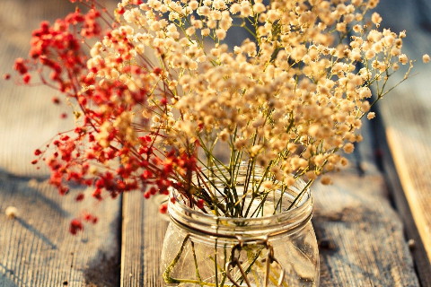 2022年11月29日五行穿衣指南、財神方位、黃歷