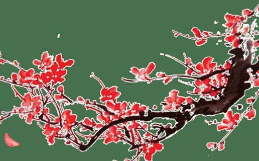 缺木火女孩名簡(jiǎn)單大氣