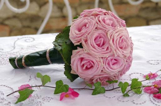 越來越難懂 讓人捉摸不透的星座 越來越難懂 讓人捉摸不透的星座