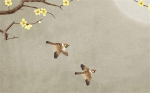 氣質和星座有關嗎