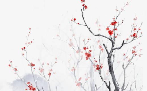 屬狗的人適合戴銀手鐲嗎 風水上怎么說