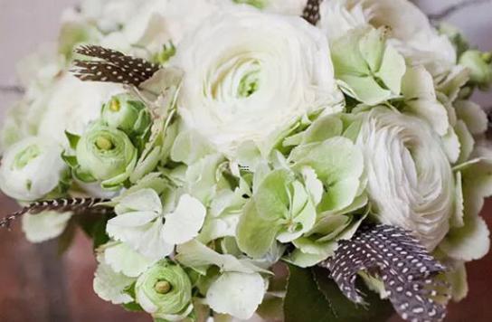 個性分明 黑粉和真愛粉一樣多的四大星座 個性分明 黑粉和真愛粉一樣多的四大星座