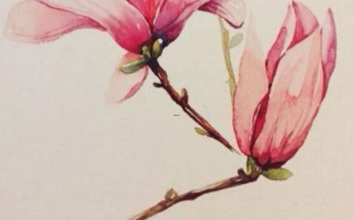 王瑾涵名字打分女孩 王瑾涵名字打分女孩