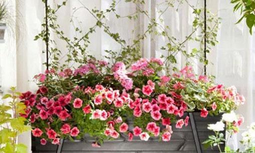 在工作上 很喜歡做計劃的星座 在工作上 很喜歡做計劃的星座