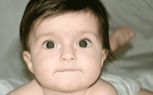 好聽的食物名字