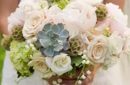 4月16日生日命運，四月十六日是什么星座？