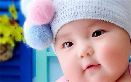 免費公司起名網免費取名