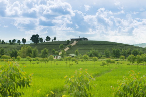 壬辰癸巳長流水是什么意思