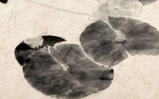 2022屬虎運勢和財運怎么樣 2022屬虎運勢和財運怎么樣