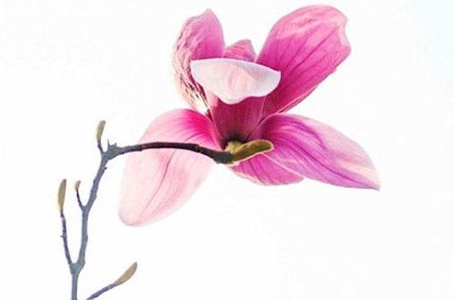 98年屬虎的本命年戴什么最好